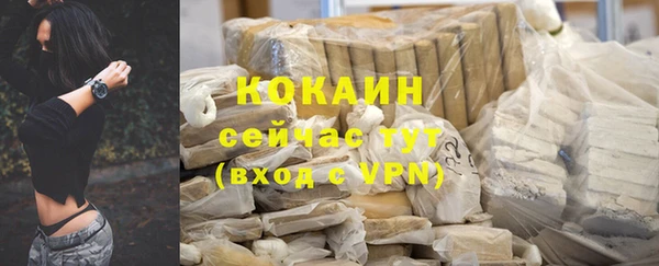 трава Коряжма