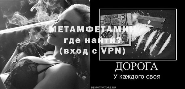 трава Коряжма