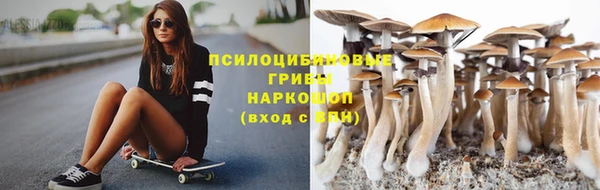альфа пвп Козловка