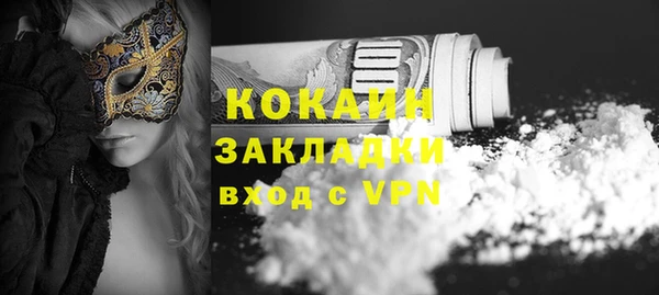 стаф Козельск