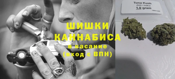дмт Корсаков