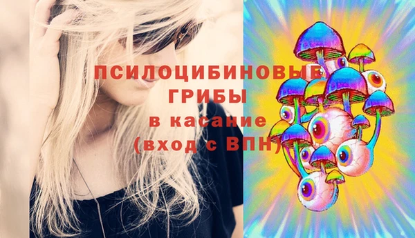 дмт Корсаков