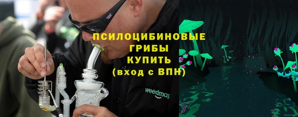 стаф Козельск