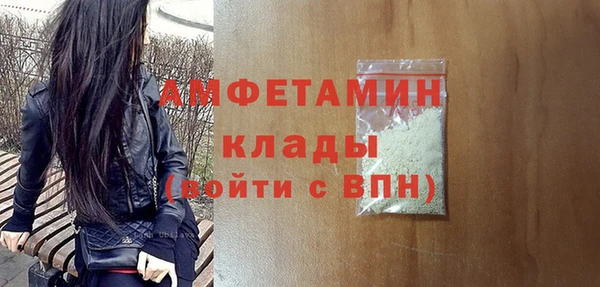 трава Коряжма