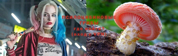 дмт Корсаков