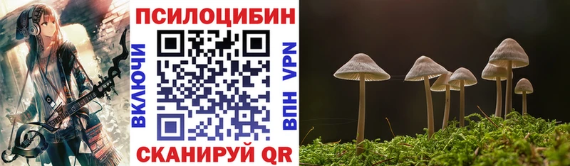 Галлюциногенные грибы Cubensis  как найти наркотики  гидра   darknet наркотические препараты  Щучье 